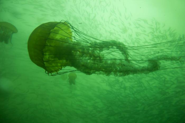 22015389_1456699031115508_1265962402_o